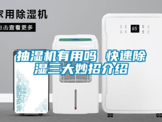 企業新聞抽濕機有用嗎 快速除濕三大妙招介紹