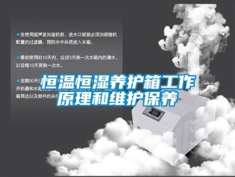 知識百科恒溫恒濕養護箱工作原理和維護保養