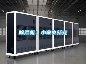 常見問題除濕機：小家電新寵