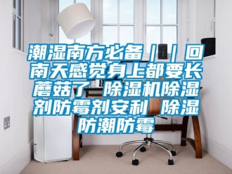 企業新聞潮濕南方必備｜｜回南天感覺身上都要長蘑菇了 除濕機除濕劑防霉劑安利 除濕防潮防霉