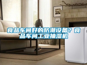 企業新聞食品車間好的防潮設備？食品車間工業抽濕機