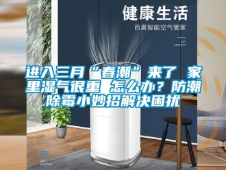 常見問題進入三月“春潮”來了 家里濕氣很重 怎么辦？防潮除霉小妙招解決困擾