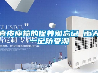 知識百科真皮座椅的保養別忘記 雨天一定防受潮