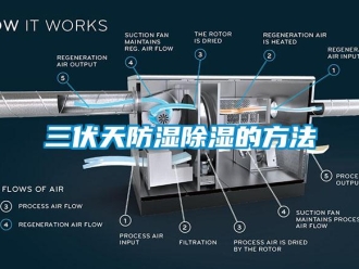 企業新聞三伏天防濕除濕的方法