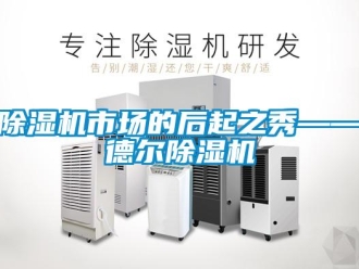 企業新聞除濕機市場的后起之秀——德爾除濕機