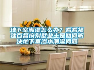 企業新聞地下室潮濕怎么辦？看看福建百督府別墅業主是如何解決地下室滲水潮濕問題