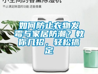 常見問題如何防止衣物發霉與家居防潮？教你幾招，輕松搞定