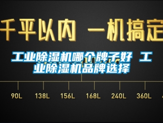常見問題工業除濕機哪個牌子好 工業除濕機品牌選擇