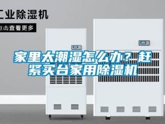 常見問題家里太潮濕怎么辦？趕緊買臺家用除濕機