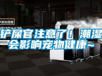 企業新聞鏟屎官注意了！潮濕會影響寵物健康~