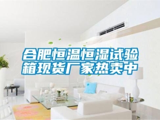 知識百科合肥恒溫恒濕試驗箱現貨廠家熱賣中