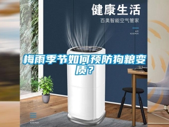 常見問題梅雨季節如何預防狗糧變質？