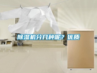 行業新聞除濕機分幾種呢？優質