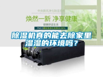 行業新聞除濕機真的能去除家里濕濕的環境嗎？