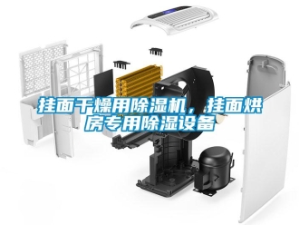 企業新聞掛面干燥用除濕機，掛面烘房專用除濕設備
