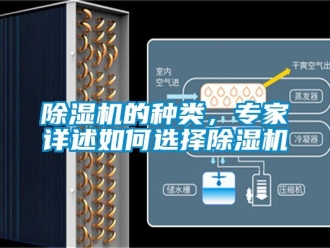 企業新聞除濕機的種類，專家詳述如何選擇除濕機