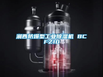 企業新聞湘西防爆型工業除濕機 BCFZ10