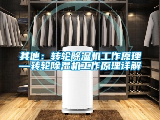 常見問題其他：轉輪除濕機工作原理—轉輪除濕機工作原理詳解