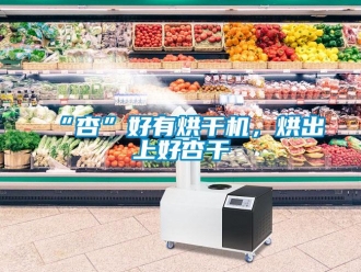 常見問題“杏”好有烘干機，烘出上好杏干