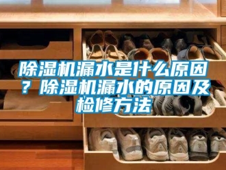 常見問題除濕機漏水是什么原因？除濕機漏水的原因及檢修方法