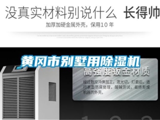行業新聞黃岡市別墅用除濕機