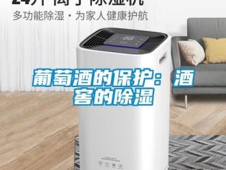 行業新聞葡萄酒的保護：酒窖的除濕