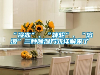 常見問題“冷凍”、“轉輪”、“溶液”三種除濕方式詳解來了