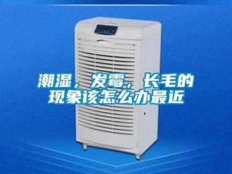 常見問題潮濕，發霉，長毛的現象該怎么辦最近