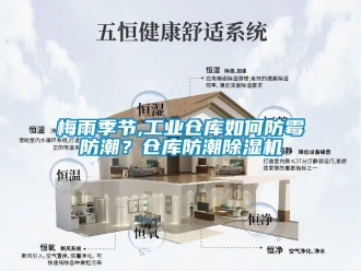 常見問題梅雨季節,工業倉庫如何防霉防潮？倉庫防潮除濕機