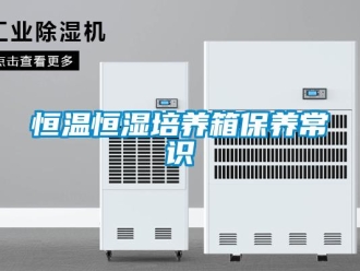 知識百科恒溫恒濕培養箱保養常識