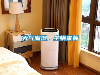 知識百科天氣潮濕，塵螨來襲