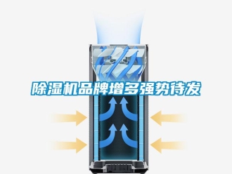 常見問題除濕機品牌增多強勢待發