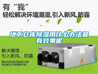 企業新聞地下倉庫除濕用什么辦法最有效果呢