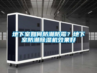 常見問題地下室如何防潮防霉？地下室防潮除濕機效果好