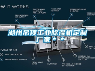 企業新聞湖州吊頂工業除濕機定制 廠家＊＊