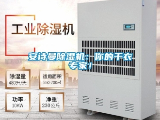 企業新聞安詩曼除濕機：你的干衣專家！