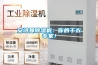 安詩曼除濕機：你的干衣專家！