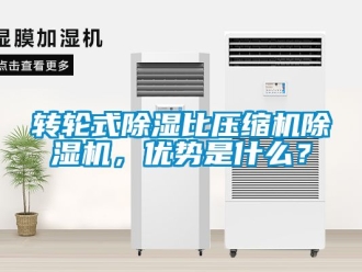 常見問題轉輪式除濕比壓縮機除濕機，優勢是什么？
