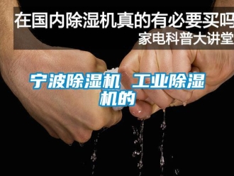 常見問題寧波除濕機 工業除濕機的