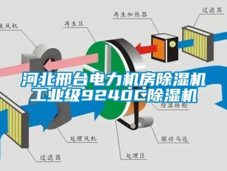常見問題河北邢臺電力機房除濕機工業級9240C除濕機