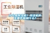 什么是除濕機？除濕機的主要作用是什么？
