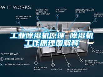 常見問題工業除濕機原理 除濕機工作原理圖解釋