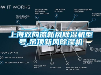 常見問題上海雙向流新風除濕機型號,吊頂新風除濕機