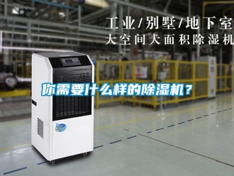 行業新聞你需要什么樣的除濕機？