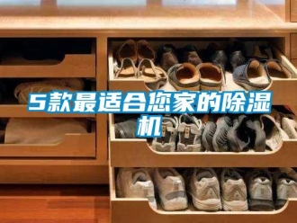 企業新聞5款最適合您家的除濕機