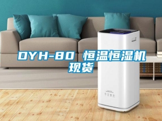 常見問題DYH-80 恒溫恒濕機現貨