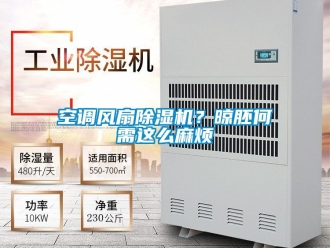行業新聞空調風扇除濕機？晾胚何需這么麻煩