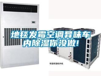 企業新聞地毯發霉空調異味車內除濕你沒做!