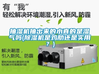 企業新聞抽濕機抽出來的水真的是濕氣嗎(除濕機是雞肋還是實用？)