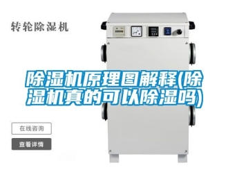 行業新聞除濕機原理圖解釋(除濕機真的可以除濕嗎)